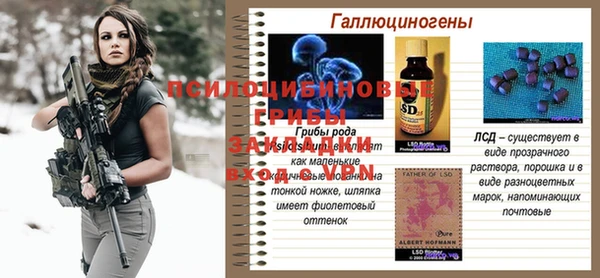 тгк Кулебаки