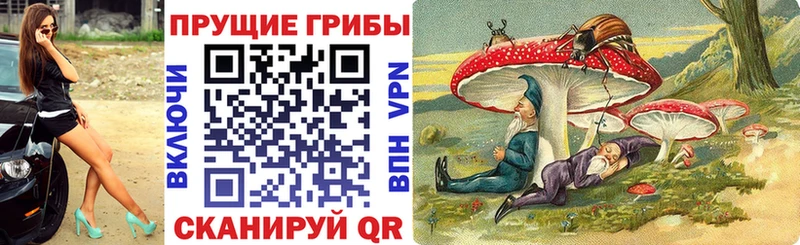 Галлюциногенные грибы прущие грибы  Купить где  Хасавюрт 